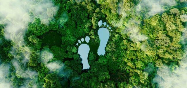 Südpack Ecovadis Foto: malp, www.stock.adobe.com