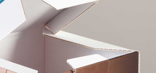 Kohlschein Fachpack Kore Board Foto: Kohlschein