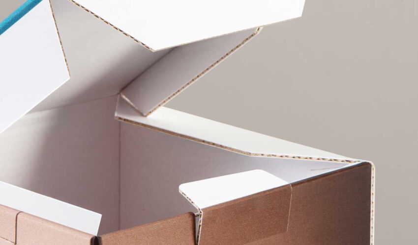 Kohlschein Fachpack Kore Board Foto: Kohlschein