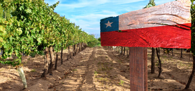 Weinbau in Chile