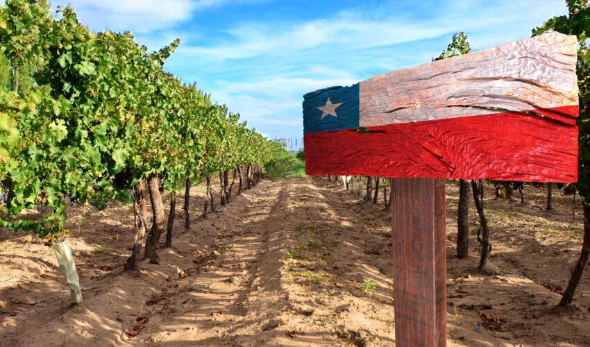 Weinbau in Chile