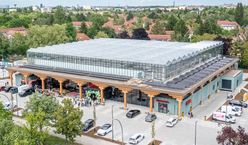 Rewe Green Farming Berlin
