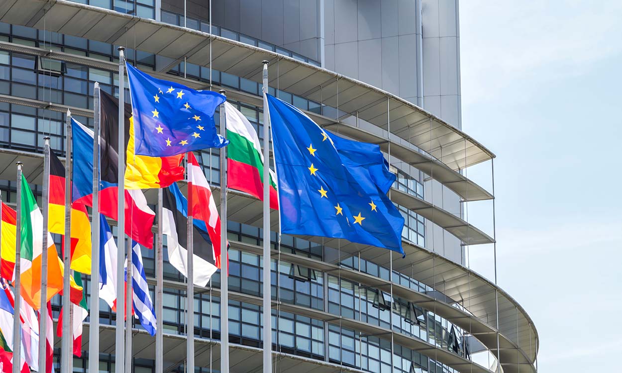 Fahnen vor EU-Parlament