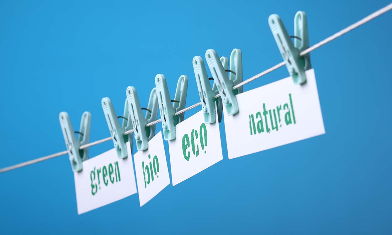 Zettel mit den Aufschriften "green, bio, eco, natural" mit Klammern an Wäscheleine aufgehängt